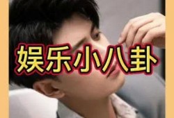 派对之星吃鸡模式 