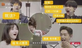 派对之星吃鸡模式 