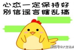对话视频生成器 