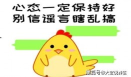 对话视频生成器 